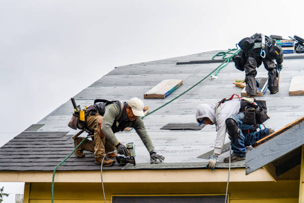 Professional Storm Damage Roof Repair technician working in Holloway, MN